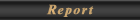 Report